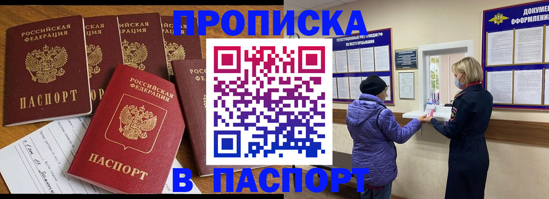 прописка 2025 в Мончегорске